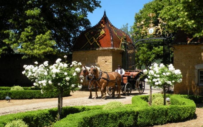 Location de calèche, fiançailles, mariage